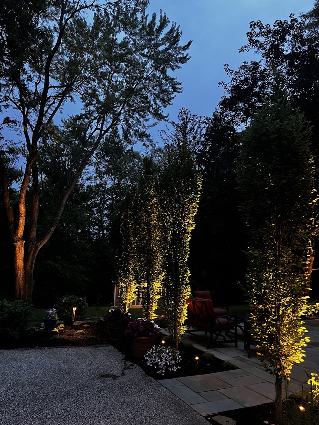 landscape tree uplighting northern ohio